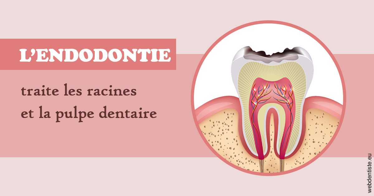 https://dr-jullien-ludovic.chirurgiens-dentistes.fr/L'endodontie 2
