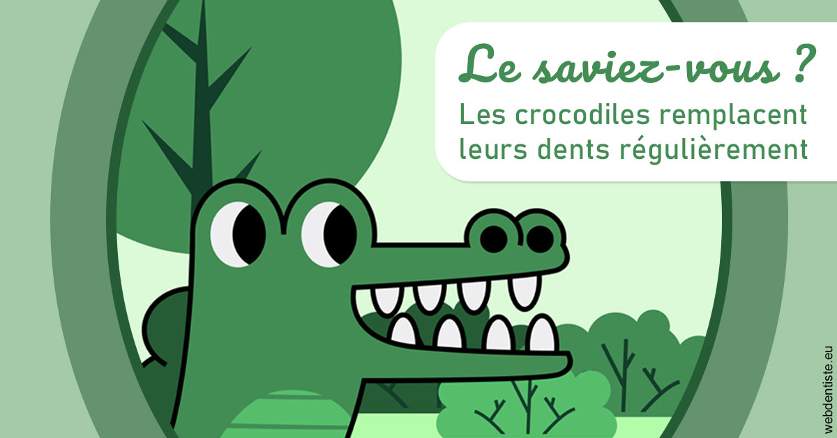 https://dr-jullien-ludovic.chirurgiens-dentistes.fr/Crocodiles 2