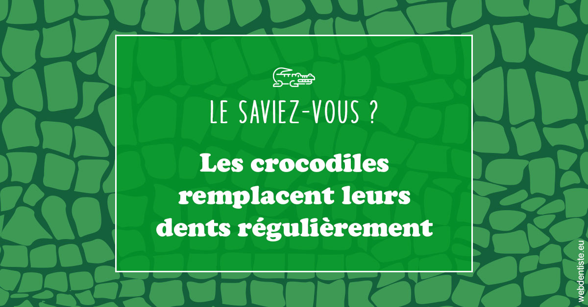 https://dr-jullien-ludovic.chirurgiens-dentistes.fr/Crocodiles 1